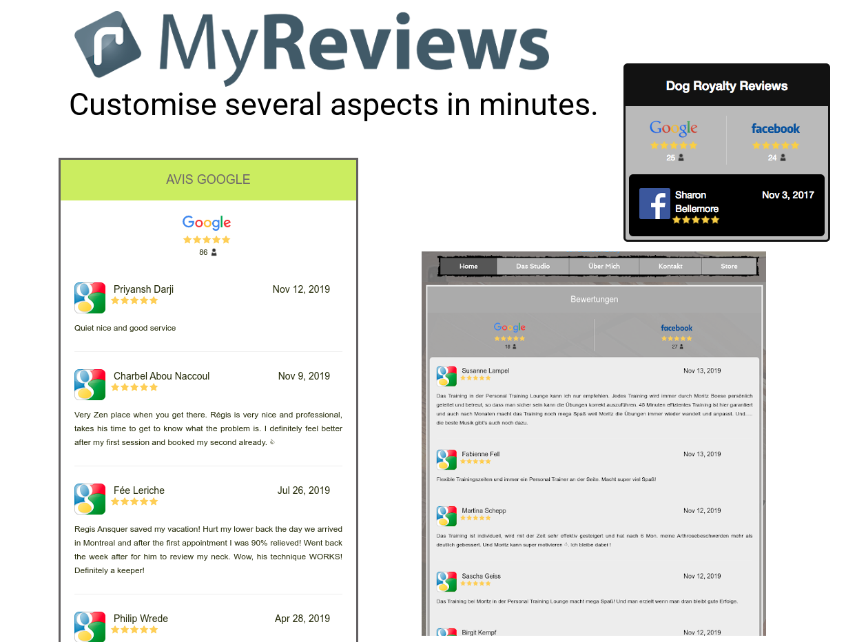 Examples of customisation of MyReviews when integrated on a website.